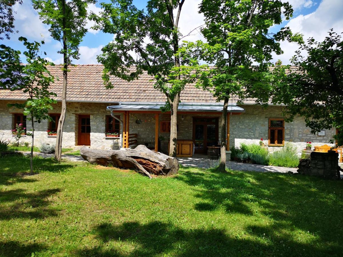 Karadi-Berger Vendeghaz Daire Erdőbénye Dış mekan fotoğraf