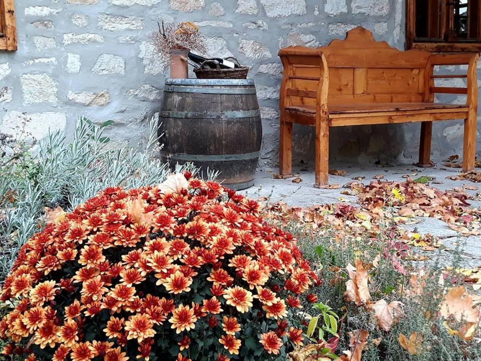Karadi-Berger Vendeghaz Daire Erdőbénye Dış mekan fotoğraf