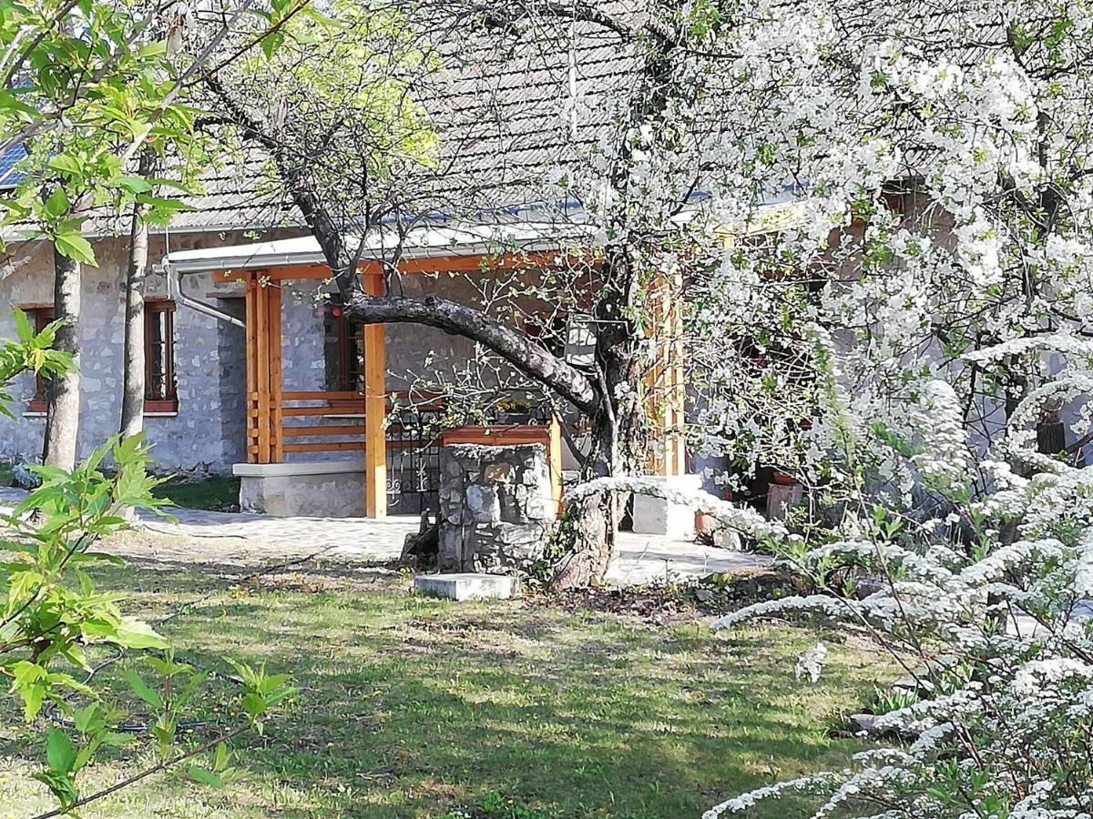 Karadi-Berger Vendeghaz Daire Erdőbénye Dış mekan fotoğraf