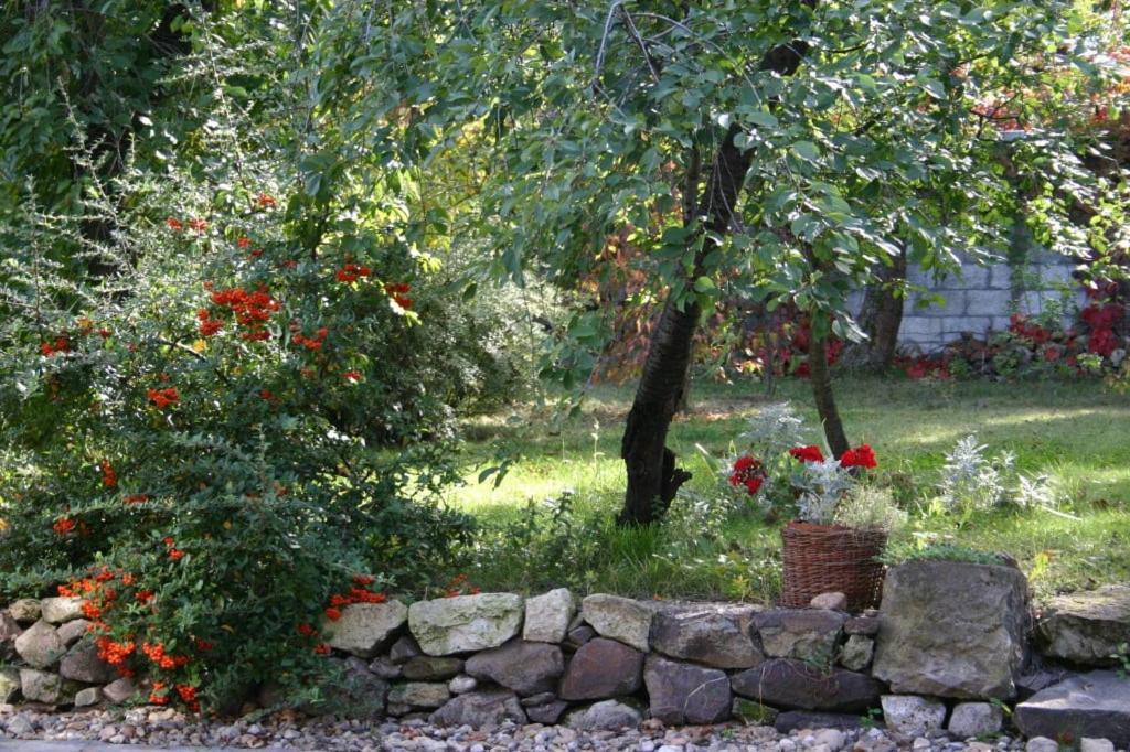 Karadi-Berger Vendeghaz Daire Erdőbénye Dış mekan fotoğraf