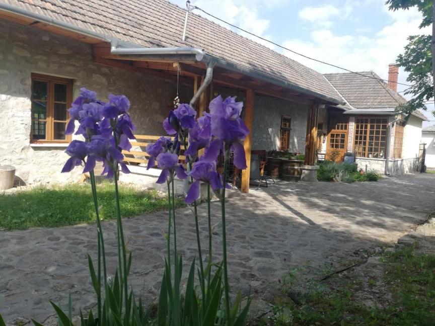 Karadi-Berger Vendeghaz Daire Erdőbénye Dış mekan fotoğraf