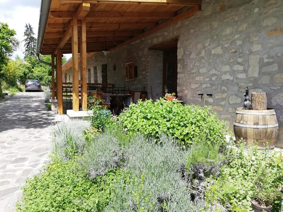 Karadi-Berger Vendeghaz Daire Erdőbénye Dış mekan fotoğraf