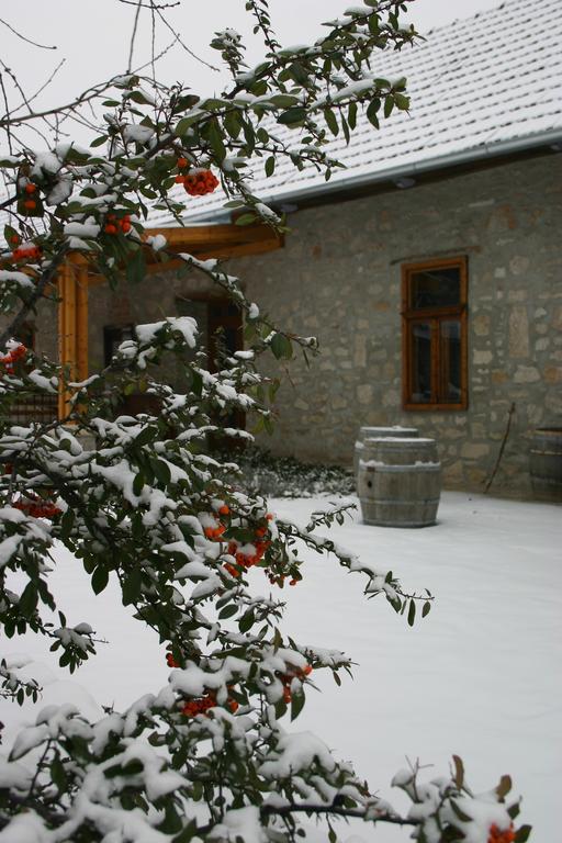 Karadi-Berger Vendeghaz Daire Erdőbénye Dış mekan fotoğraf
