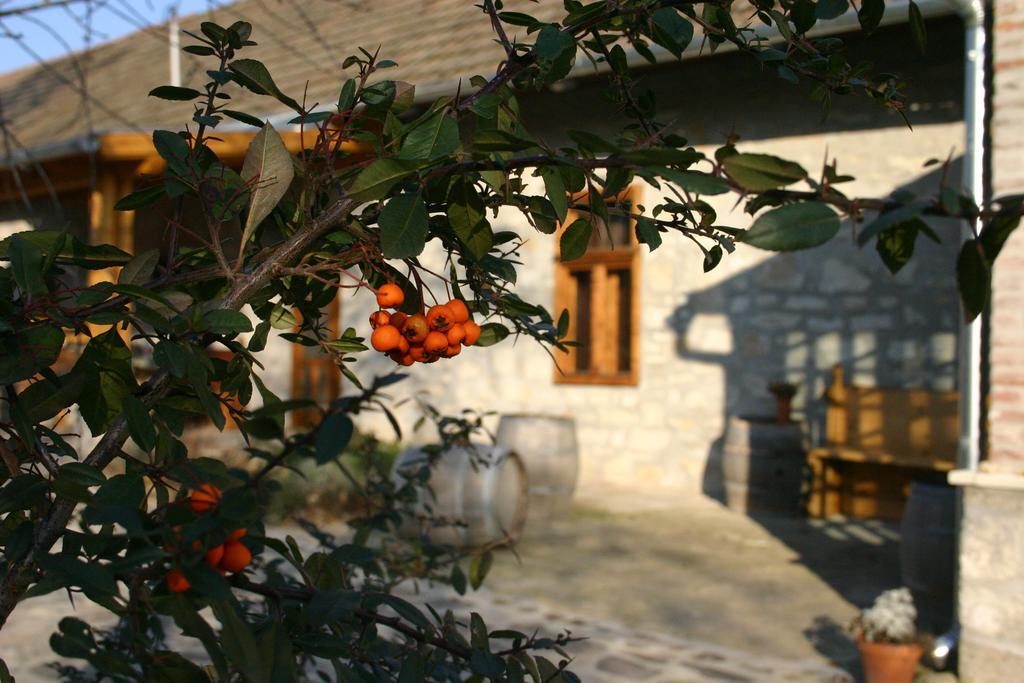 Karadi-Berger Vendeghaz Daire Erdőbénye Oda fotoğraf